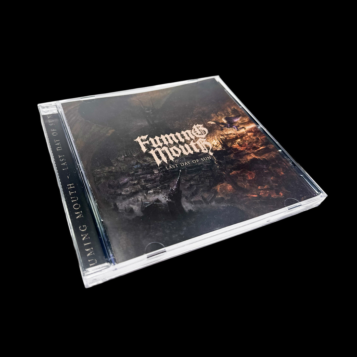Last Day of Sun CD